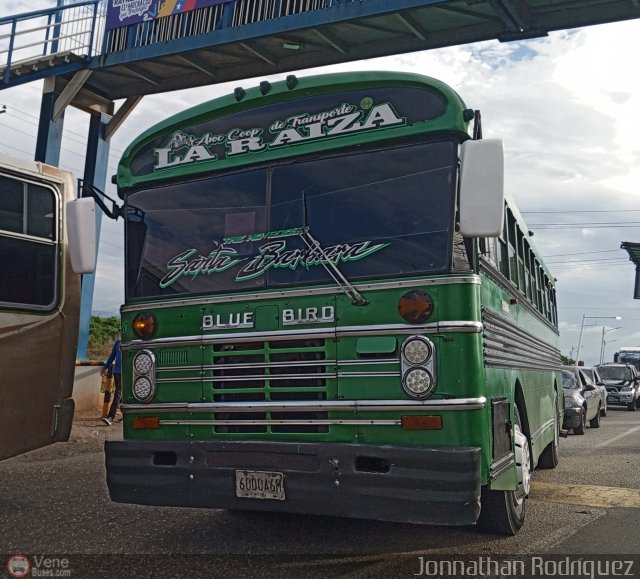 A.C. de Transporte La Raiza 036 por Jonnathan Rodr�guez