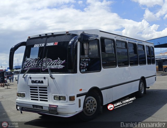 AR - Ruta Comunal Mario Brice�o Iragorry 057 por Daniel Fern�ndez