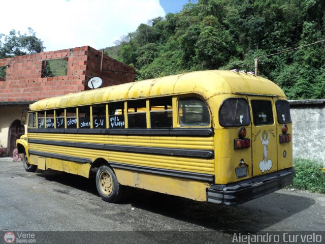 Universitarios y Escolares 101 por Alejandro Curvelo