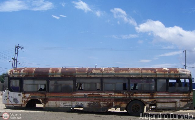 En Chiveras Abandonados Recuperaci�n Transporte Fatima por Alejandro Curvelo