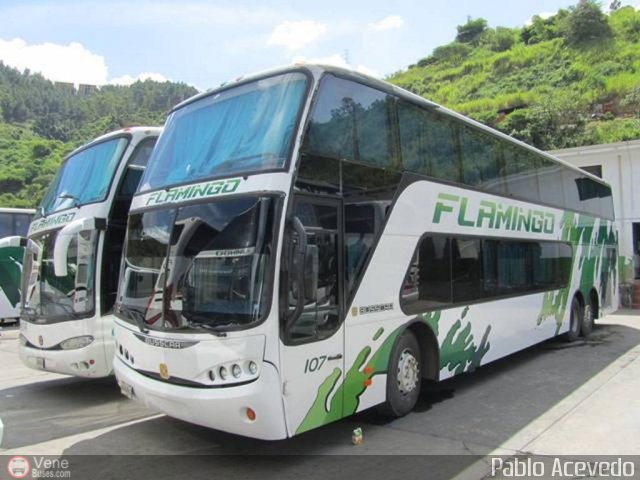 Expresos Flamingo 0107 por Pablo Acevedo