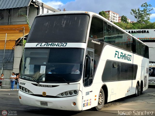 Expresos Flamingo 0088 por Josu� S�nchez