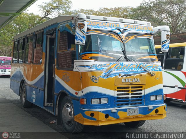 A.C. Portuguesa 055 por Antonio Casamayor