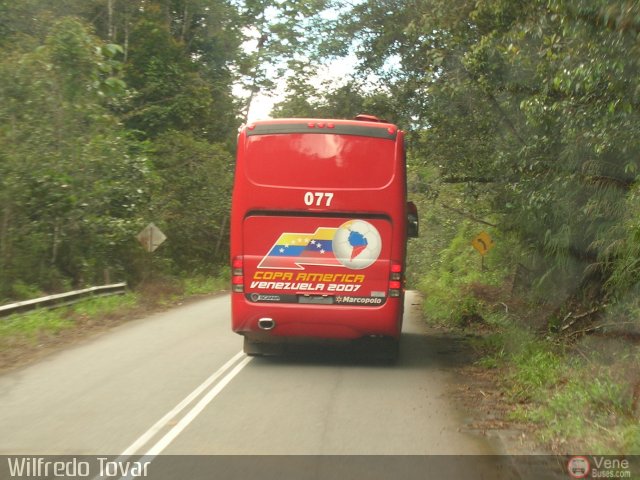 Copa Am�rica 077 por Alfredo Montes de Oca