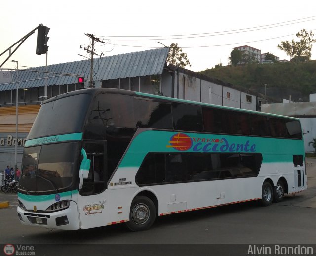 Expresos Occidente 304 por Alvin Rond�n
