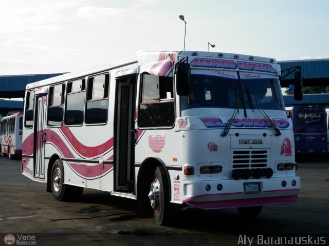 Uni�n MarVal 072 por Aly Baranauskas