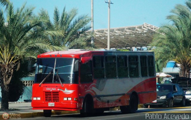 A.C. Don Augusto Malave Villalba 118 por Pablo Acevedo