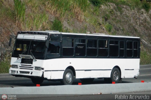 Particular o Desconocido Miranda por Pablo Acevedo