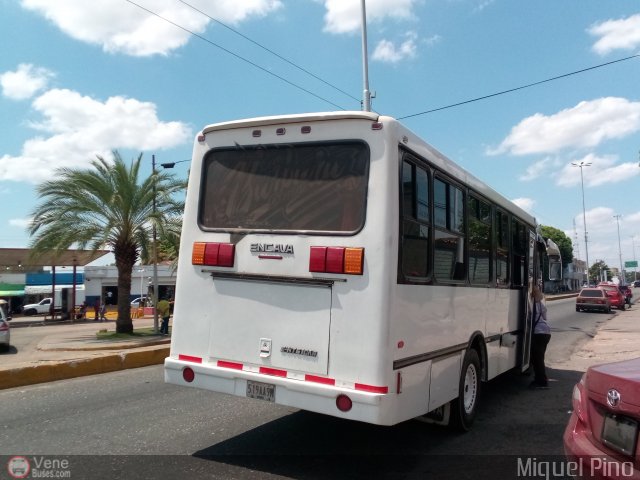 A.C.C. Caicara Amazonas 106 por Miguel Pino