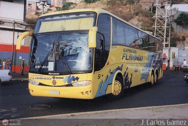 Expresos Flamingo 51 por J. Carlos G�mez