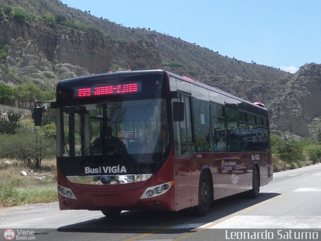 Bus Vig�a 96 por Leonardo Saturno