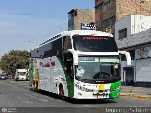 Expreso Internacional Palomino 7055 por Leonardo Saturno