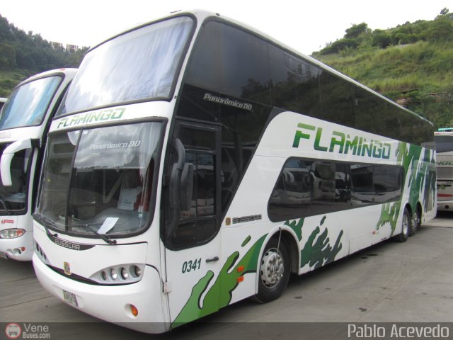 Expresos Flamingo 0341 por Pablo Acevedo