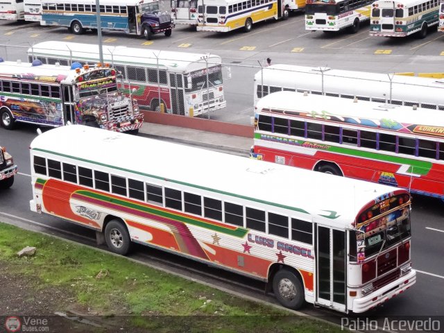 Particular o Desconocido 99 por Pablo Acevedo