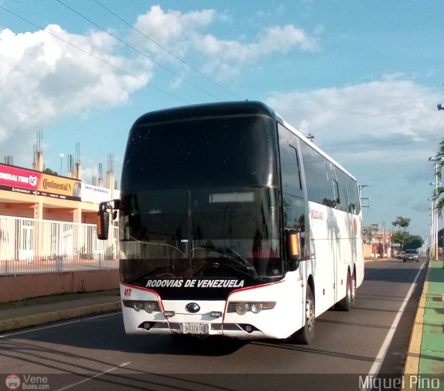 Rodovias de Venezuela 417 por Miguel Pino