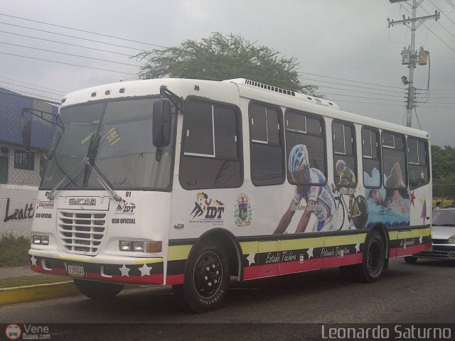 Uso Oficial 01 por Leonardo Saturno