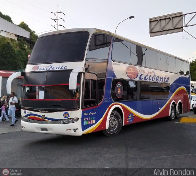 Expresos Occidente 247 por Alvin Rond�n