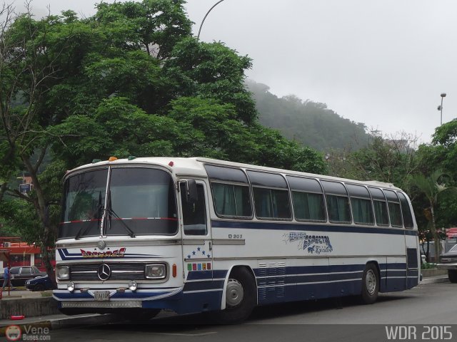 Particular o Desconocido 918 por Waldir Mata