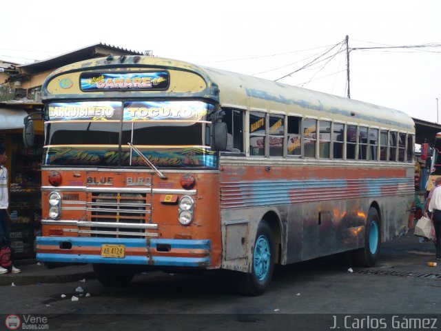 L�nea Sanare 10 por J. Carlos G�mez