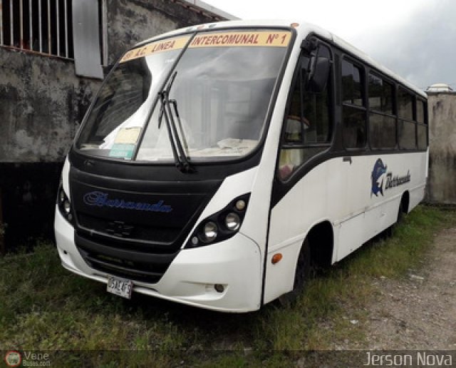 TA - A.C. L�nea Intercomunal 55 por Jerson Nova