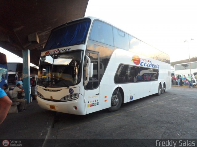 Expresos Occidente 251 por Freddy Salas