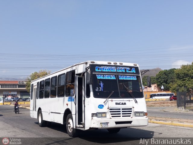 Transporte Mixto Chirgua 0002 por Aly Baranauskas