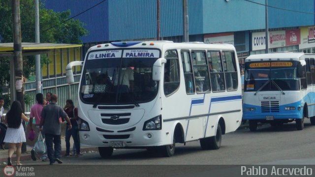 TA - A.C. Autos por puesto Lnea Palmira 050 por Pablo Acevedo