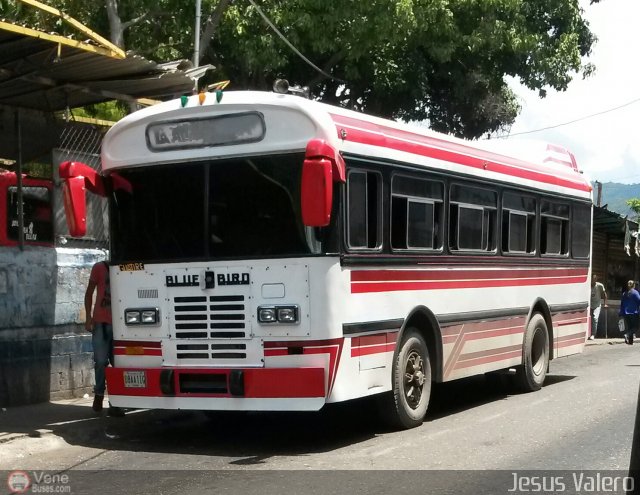 A.C. Transporte Zamora 98 por Jes�s Valero