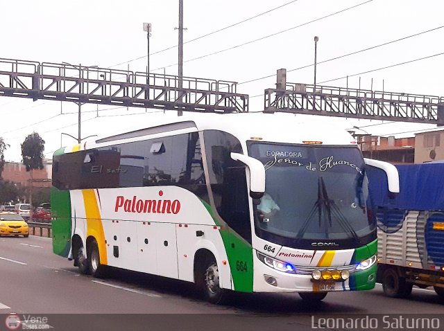 Expreso Internacional Palomino 664 por Leonardo Saturno