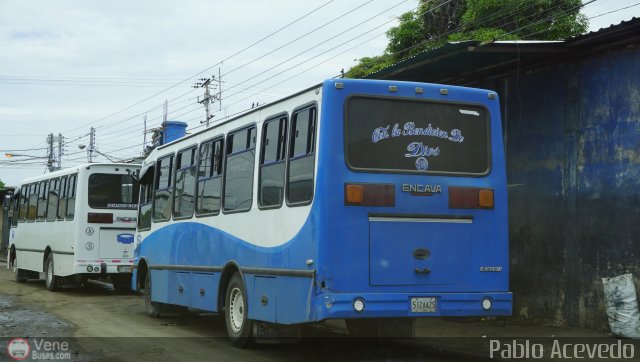 S.C.C. Expresos Sucre 100 por Pablo Acevedo