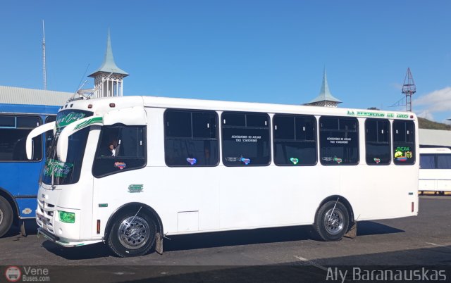 A.C. Transporte Independencia 038 por Aly Baranauskas