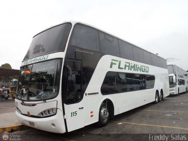 Expresos Flamingo 0115 por Freddy Salas