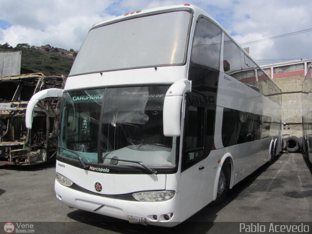 Expresos Flamingo 0116 por Pablo Acevedo