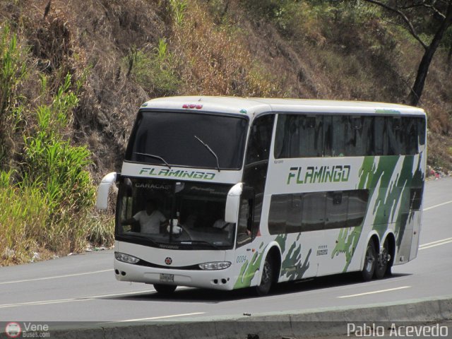 Expresos Flamingo 0004 por Pablo Acevedo