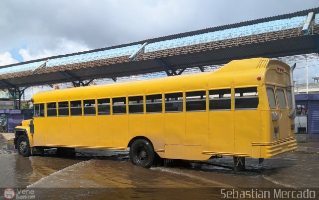 ZU - Colectivos Concepcin 022 por Sebastin Mercado