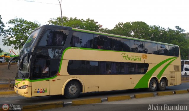 Expresos Primavera 003 por Alvin Rond�n