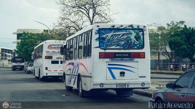 S.C. L�nea Transporte Expresos Del Chama 203 por Pablo Acevedo
