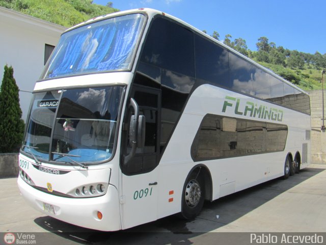 Expresos Flamingo 0091 por Pablo Acevedo