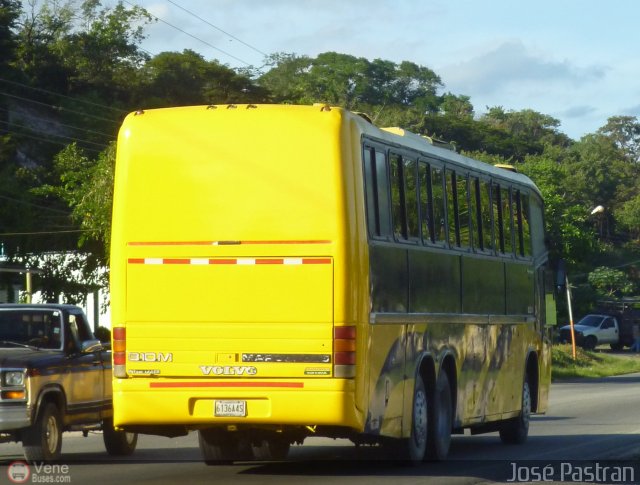 Uni�n Conductores Aeropuerto Maiquet�a Caracas 998 por Jos� Pastran