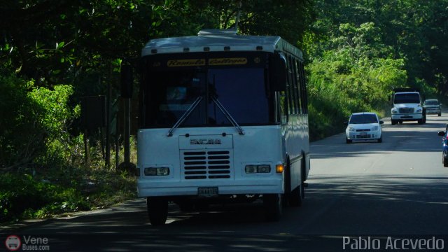 TA - A.C. R�mulo Gallegos 038 por Pablo Acevedo