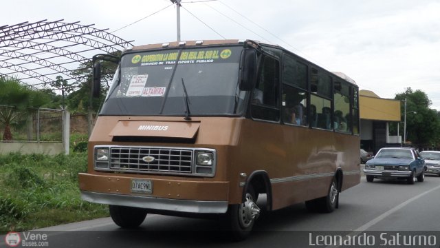 ME - Coop. La Orqu�dea Real Del Sur R.L. 97 por Leonardo Saturno