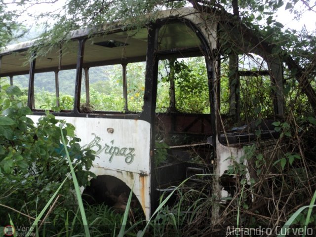 En Chiveras Abandonados Recuperaci�n 75 por Alejandro Curvelo