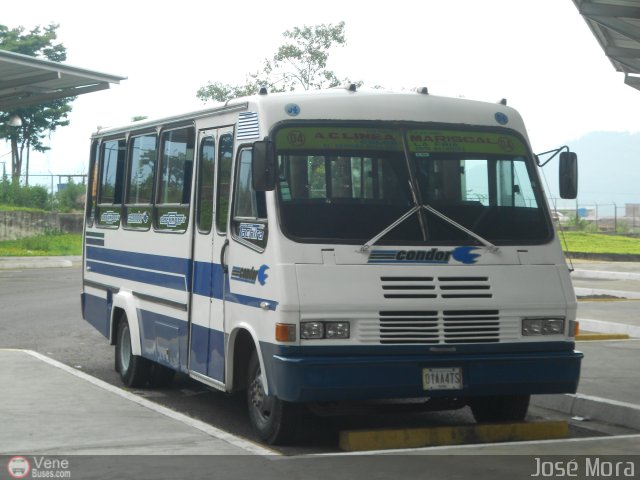 A.C. Línea Mariscal 04 por José Mora