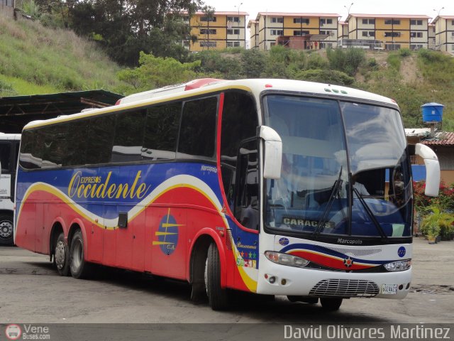 Expresos Occidente 277 por David Olivares Martinez