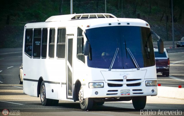 Particular o Desconocido Miranda por Pablo Acevedo