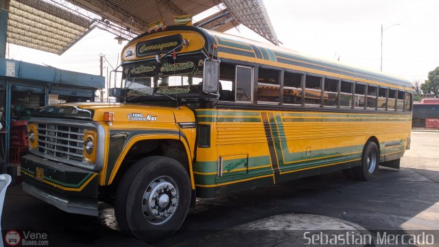 Colectivo Matera Nueva 28 por Sebasti�n Mercado