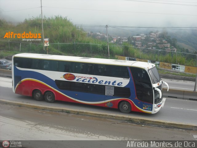 Expresos Occidente 176 por Alfredo Montes de Oca
