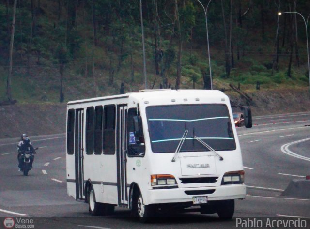 Particular o Desconocido Miranda por Pablo Acevedo