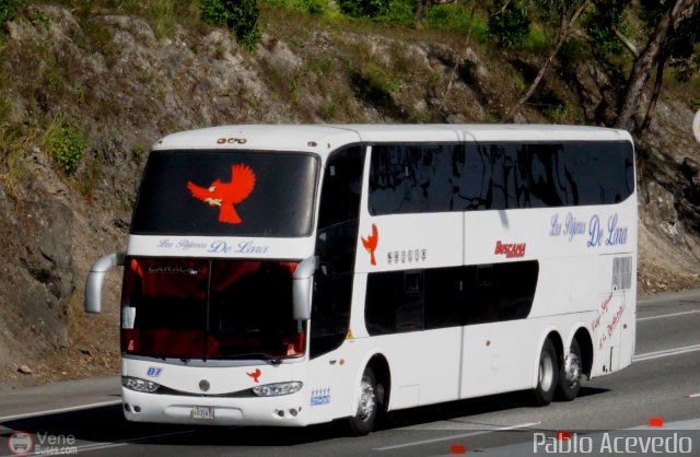 Los P�jaros de Lara 007 por Pablo Acevedo