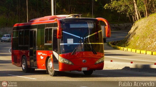 Particular o Desconocido Miranda por Pablo Acevedo